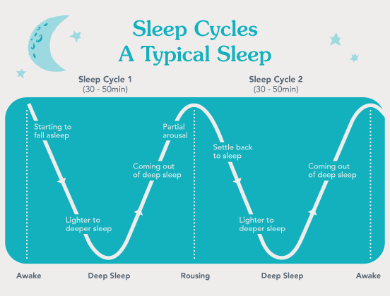 HOT Sleep Habits 30 Minute Sleep Cycle Baby Shop Baby Sleep