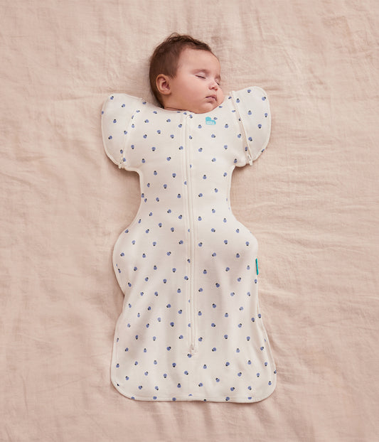 Swaddle Up™ 2-in-1 Transition Bag 0.2 TOG Cotton Cream Bugsy Blue