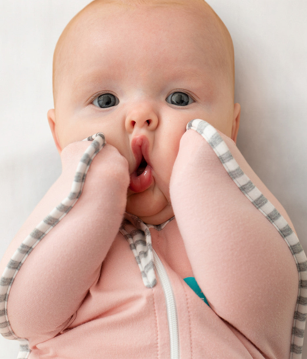 Swaddle Up Original Dusty Pink – Love to Dream US