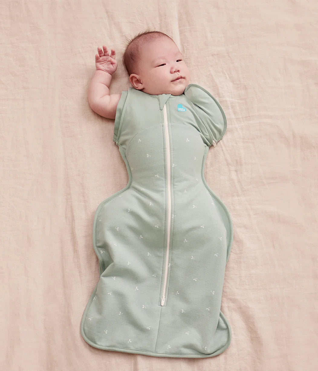 Transitioning Bundle 1.5 | 2.5 TOG | Olive Twigs | Oat Twigs | Oat Bees